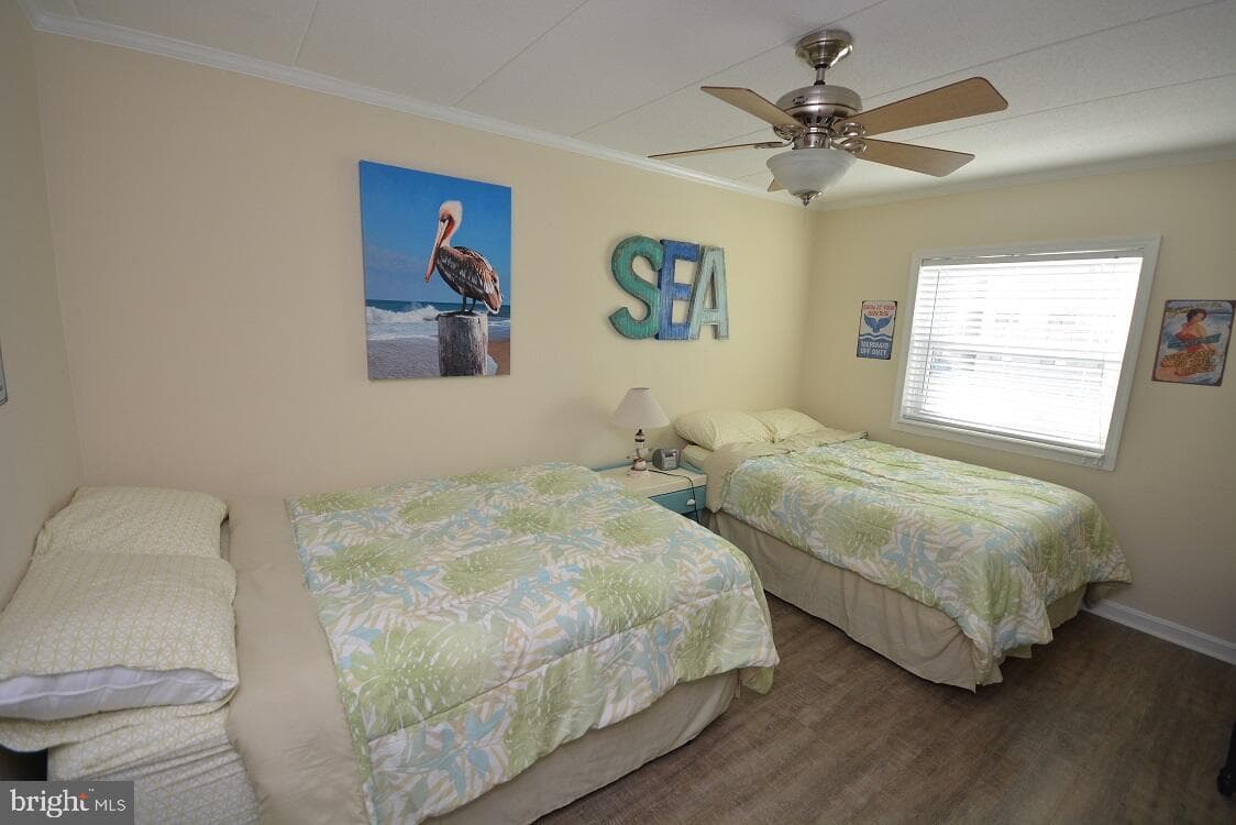 9 N 47th Street #209 photo 16