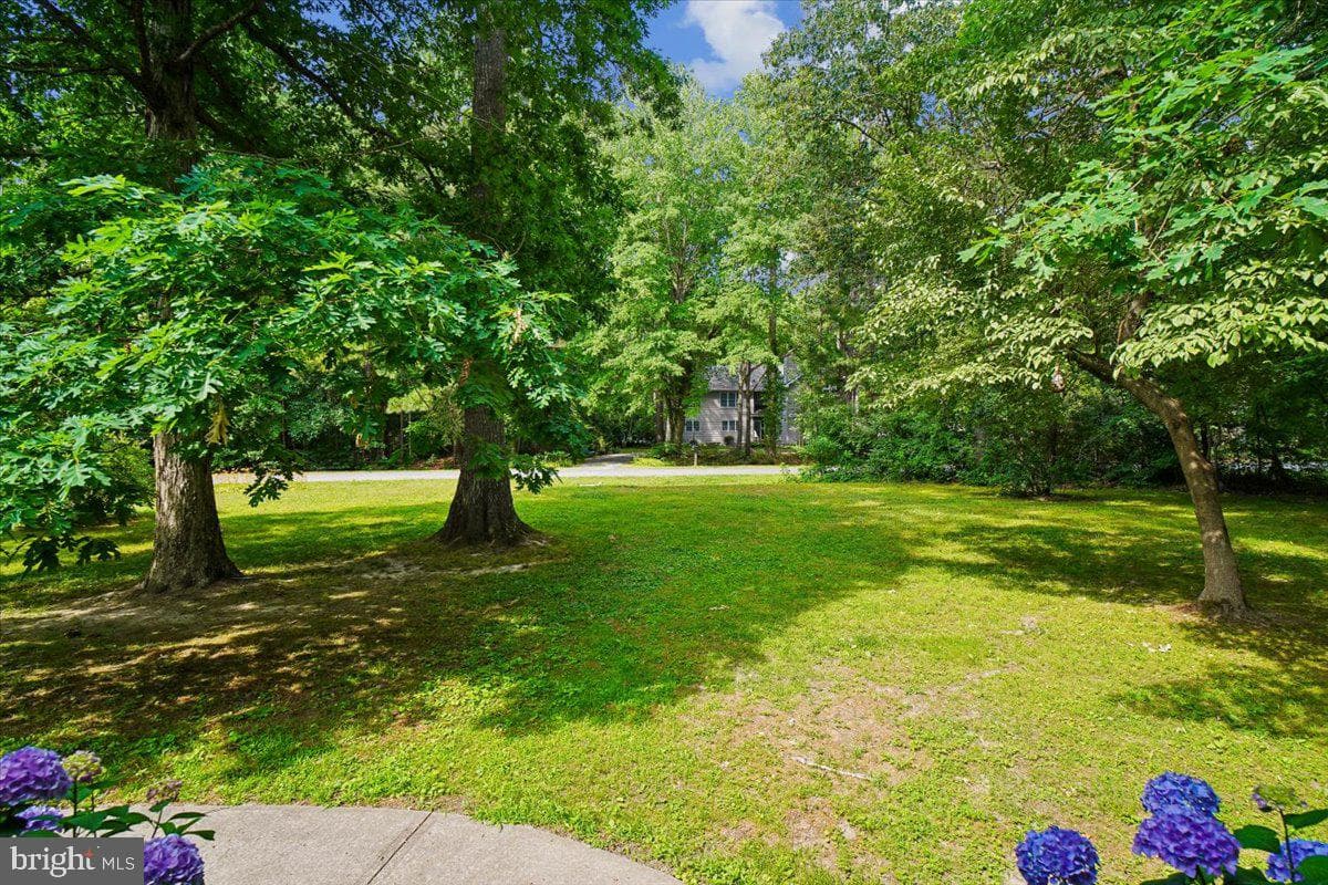 10541 Shady Drive photo 5