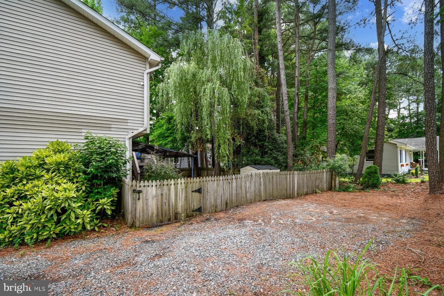 3 Boston Drive photo 41