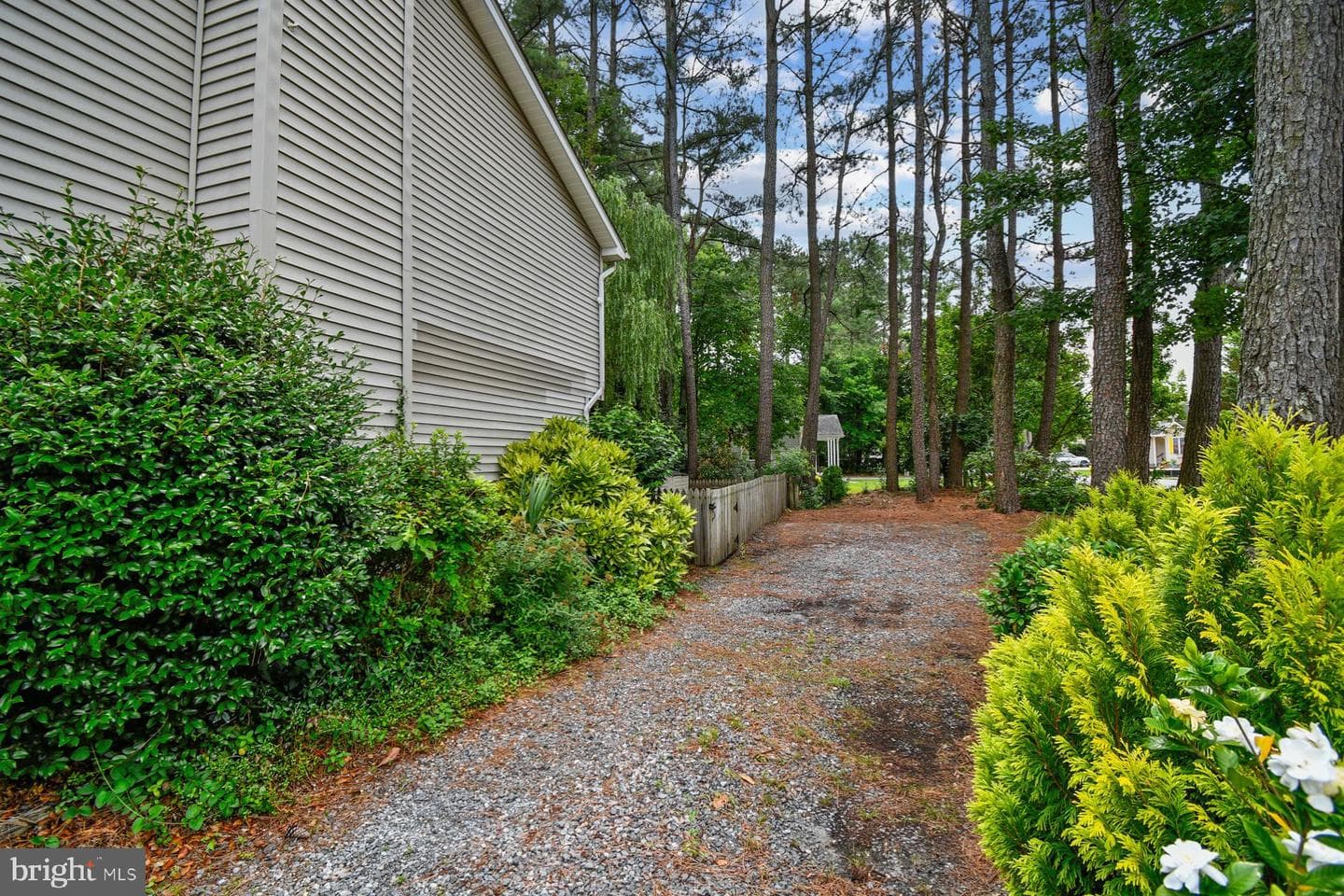 3 Boston Drive photo 42