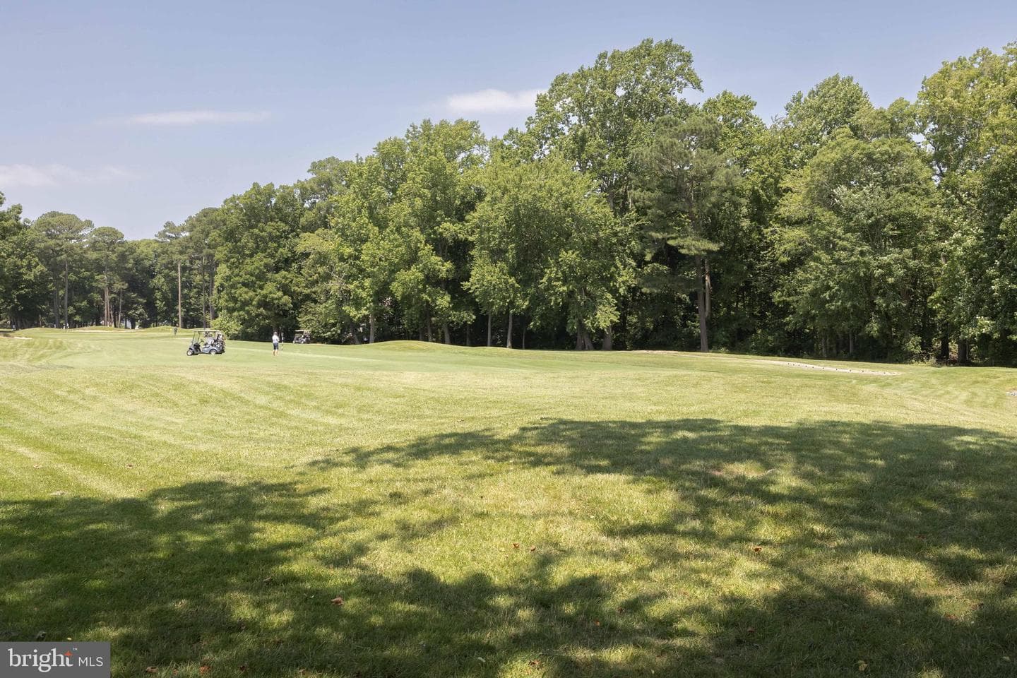 13135 Muirfield Lane photo 64