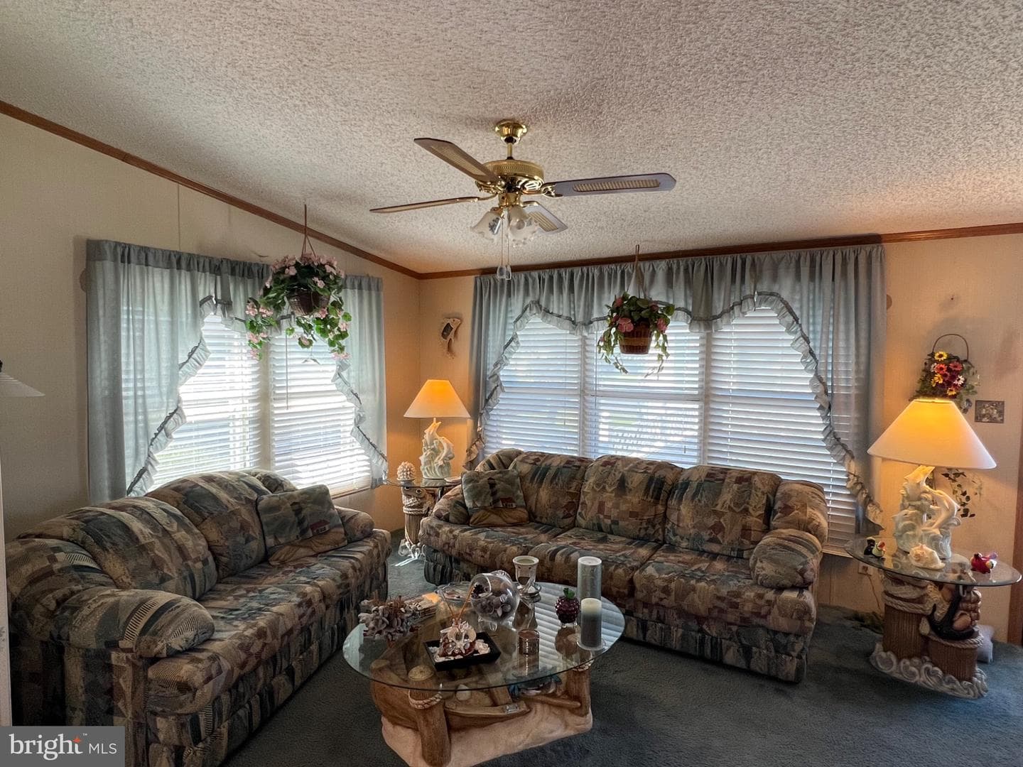 12409 Pegleg Way photo 6