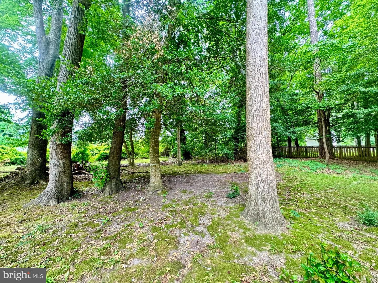 67 Seafarer Lane photo 22