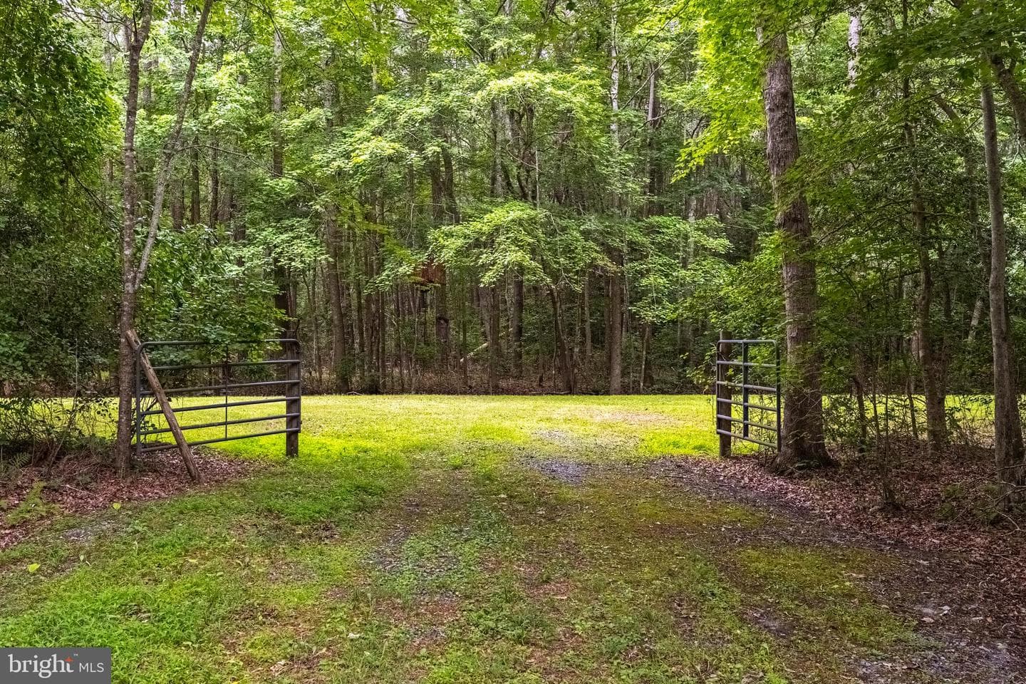 12089 Saint Martins Neck Road photo 64