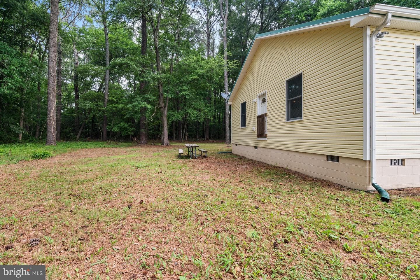 10411 Griffin Road photo 34