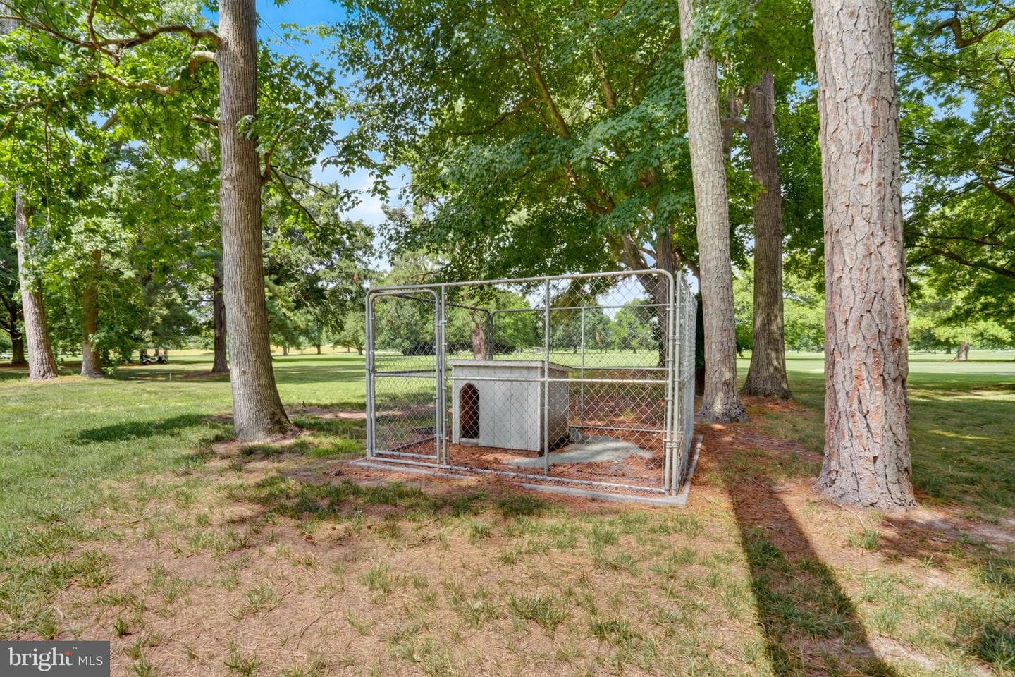 11412 Quillin Way photo 67