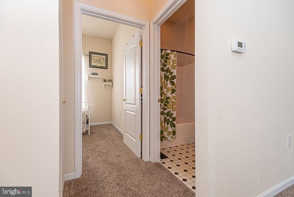 6 Easton Avenue photo 36