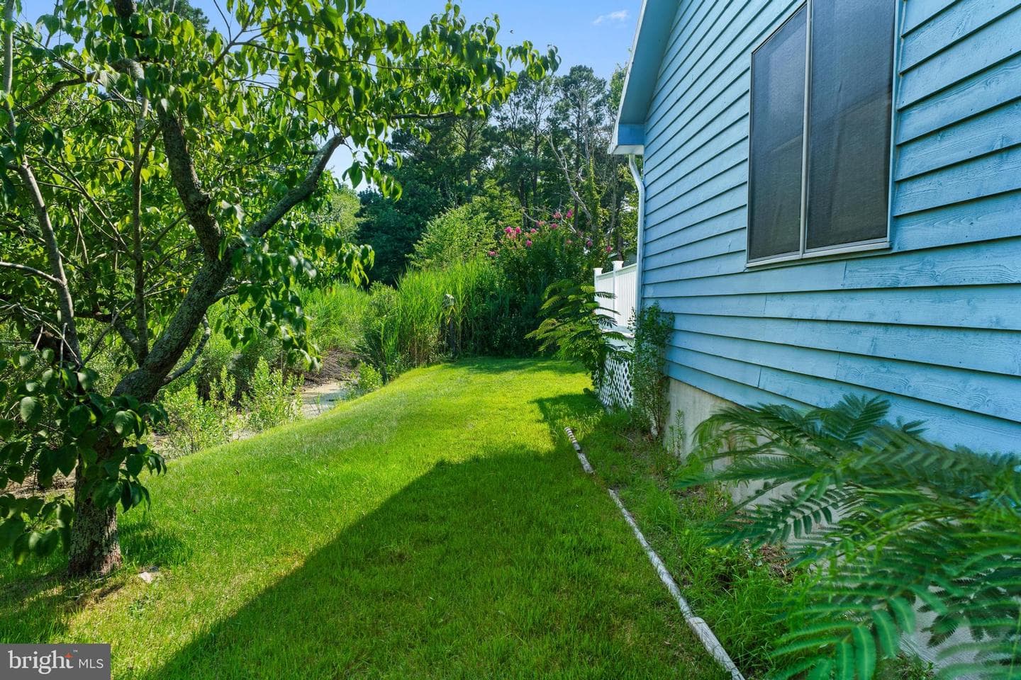 779 Ocean Parkway photo 59