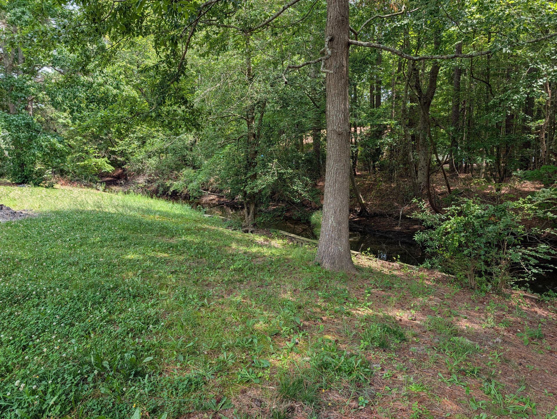12208 Duck Lane photo 2