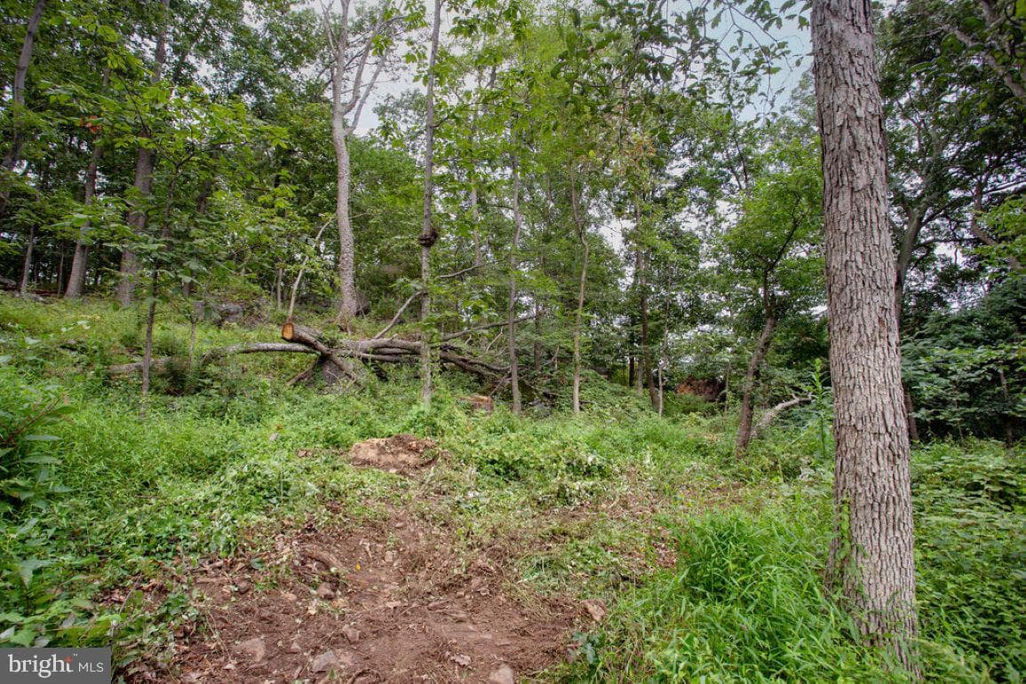 2325 York Road photo 47