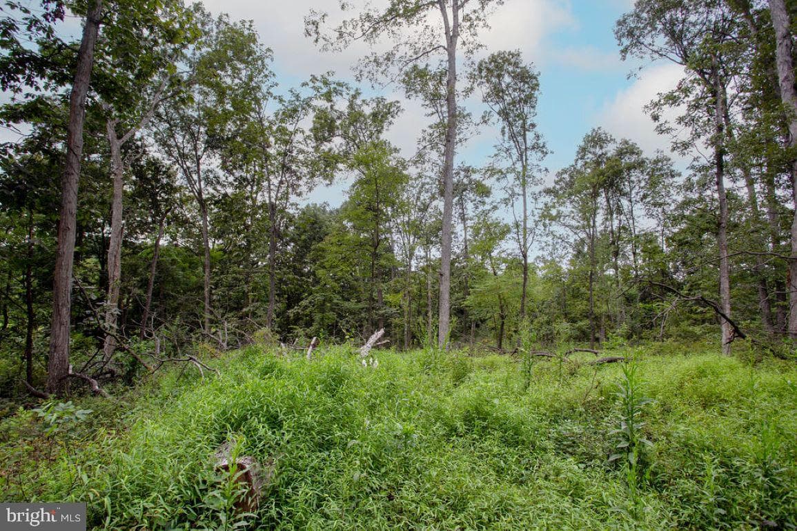 2325 York Road photo 49