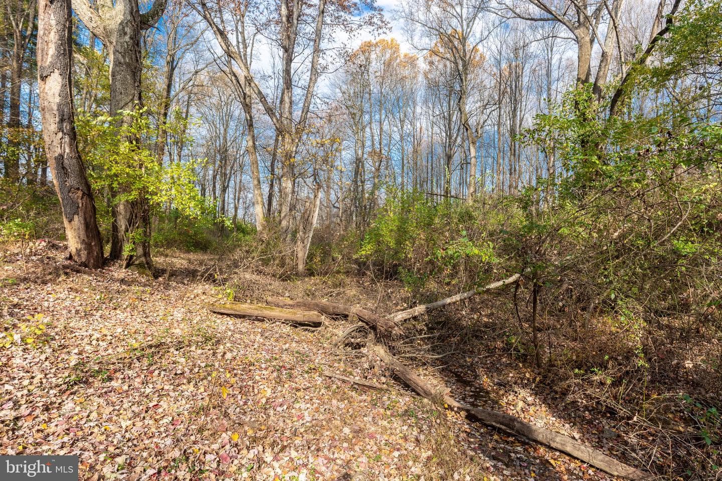 128 Pine Grove Road photo 83