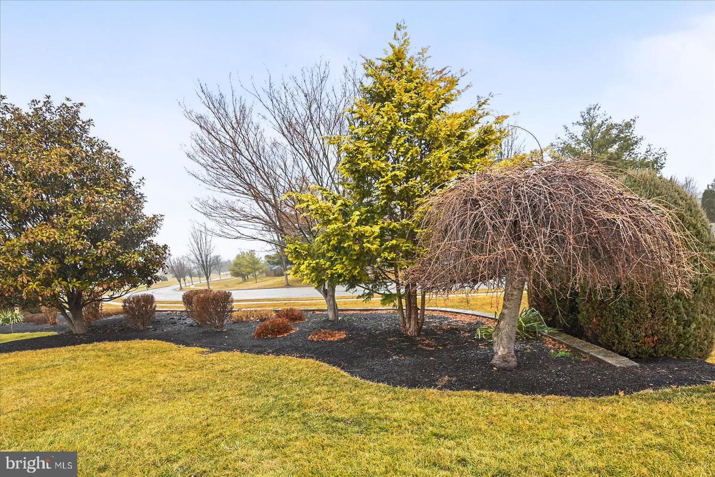 20 Stedtle Avenue photo 39