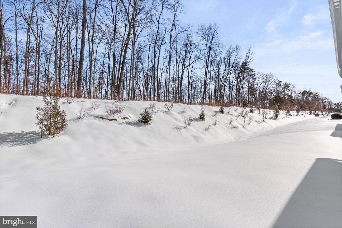 395 Quiet Creek Drive photo 60