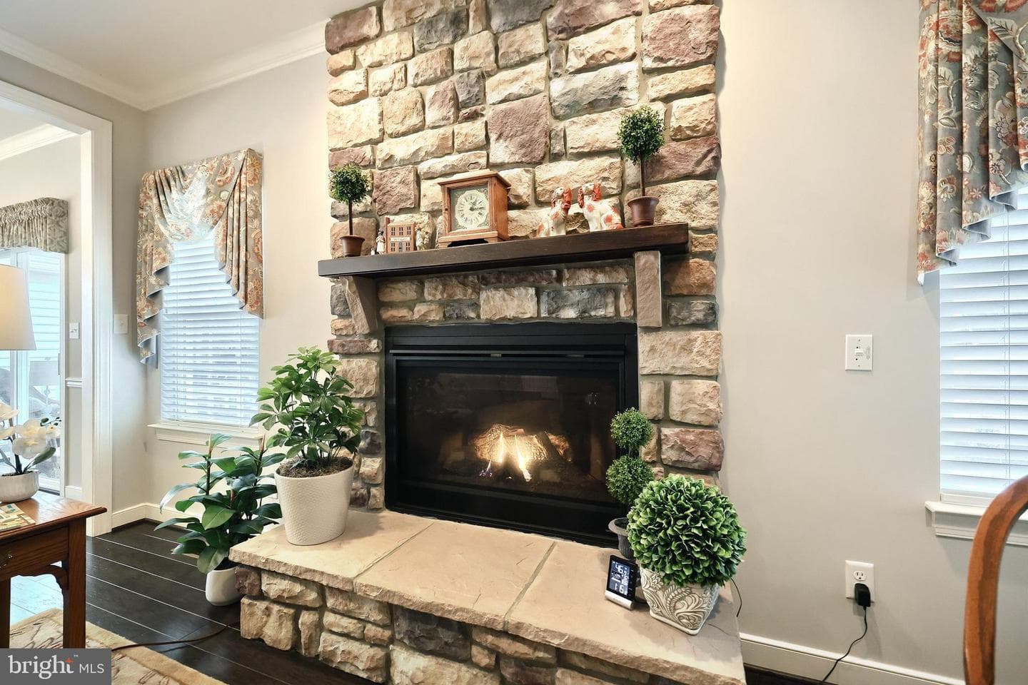 221 Savannah Drive photo 13