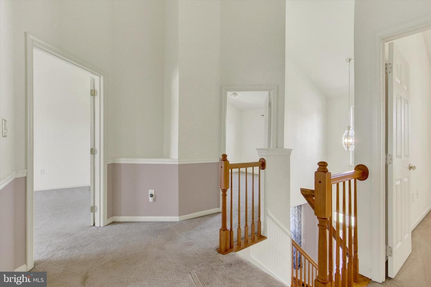 1 Dinwiddie Court photo 28