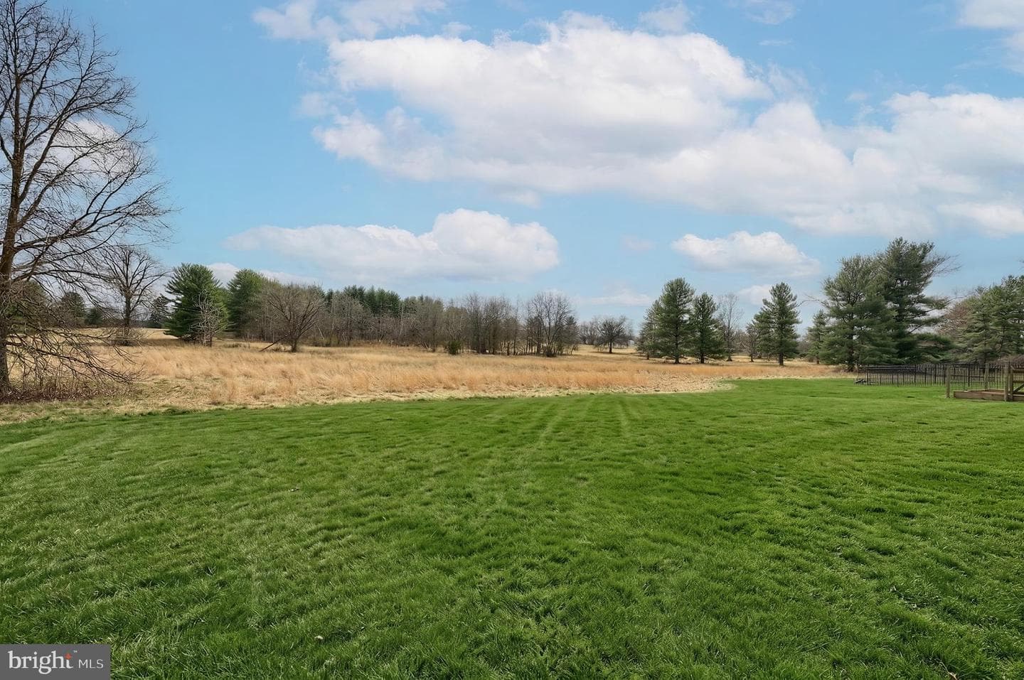 290 Country Club Lane photo 9