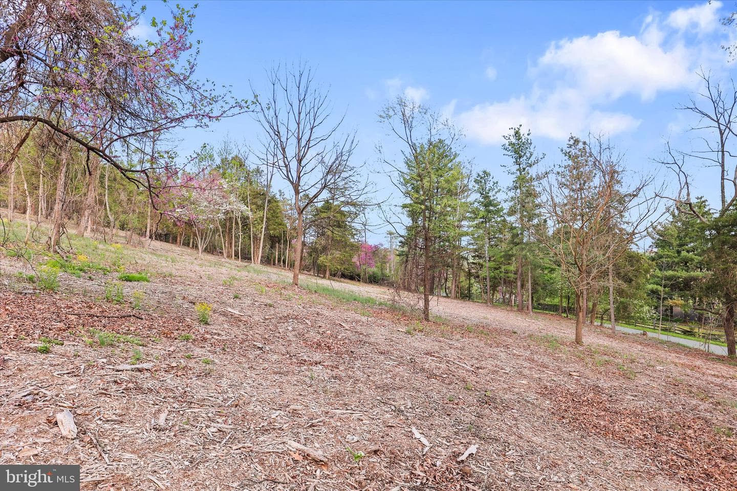 529 Mcglaughlin Road photo 62