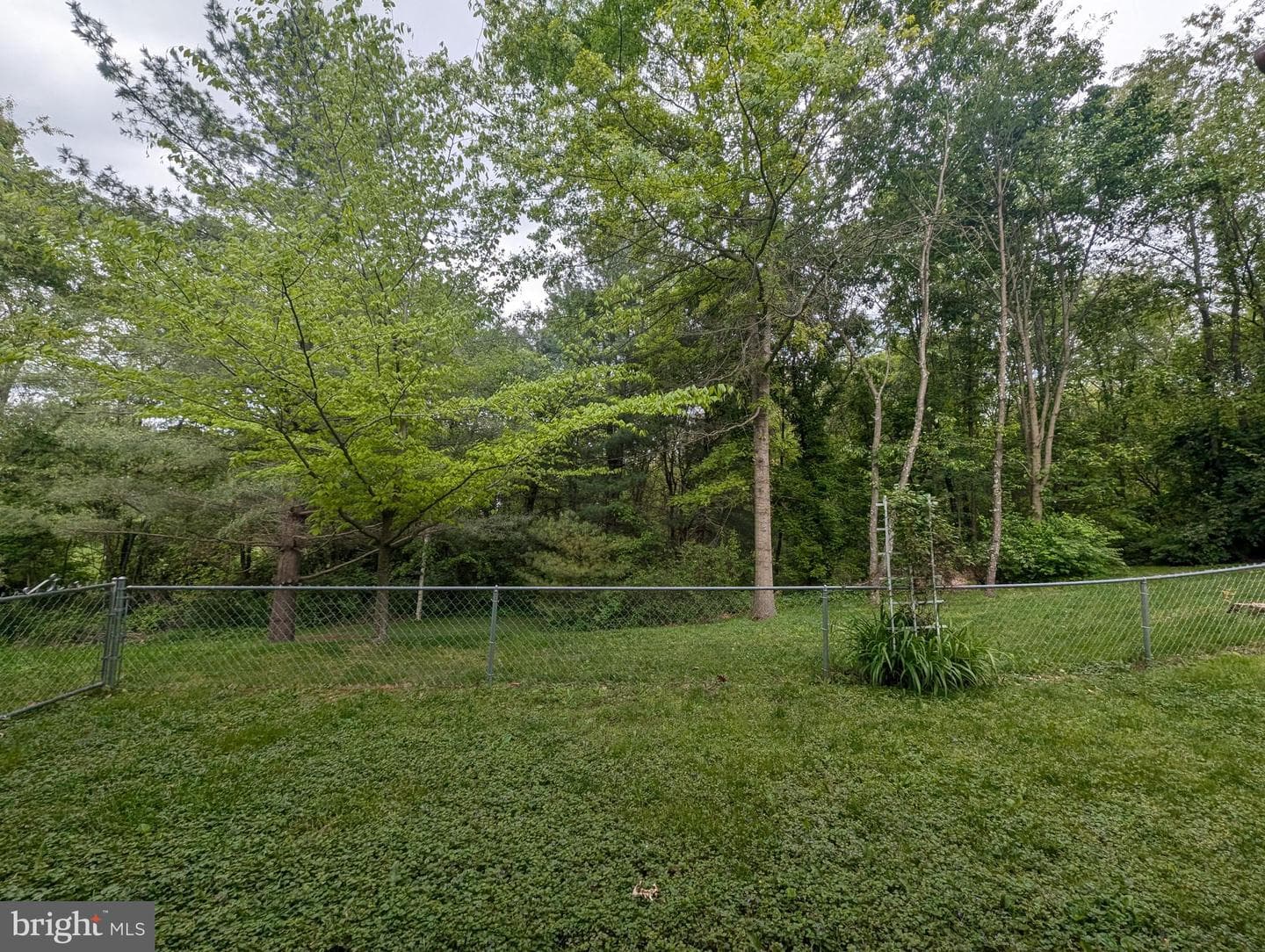 85 Southview Drive photo 16