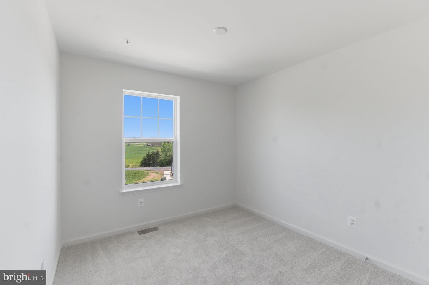 6 Magnolia Ct photo 19