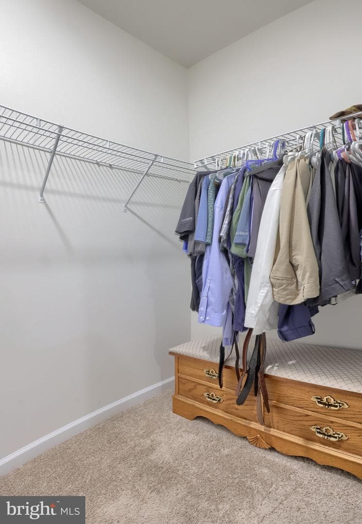 43 Chokeberry Way photo 7
