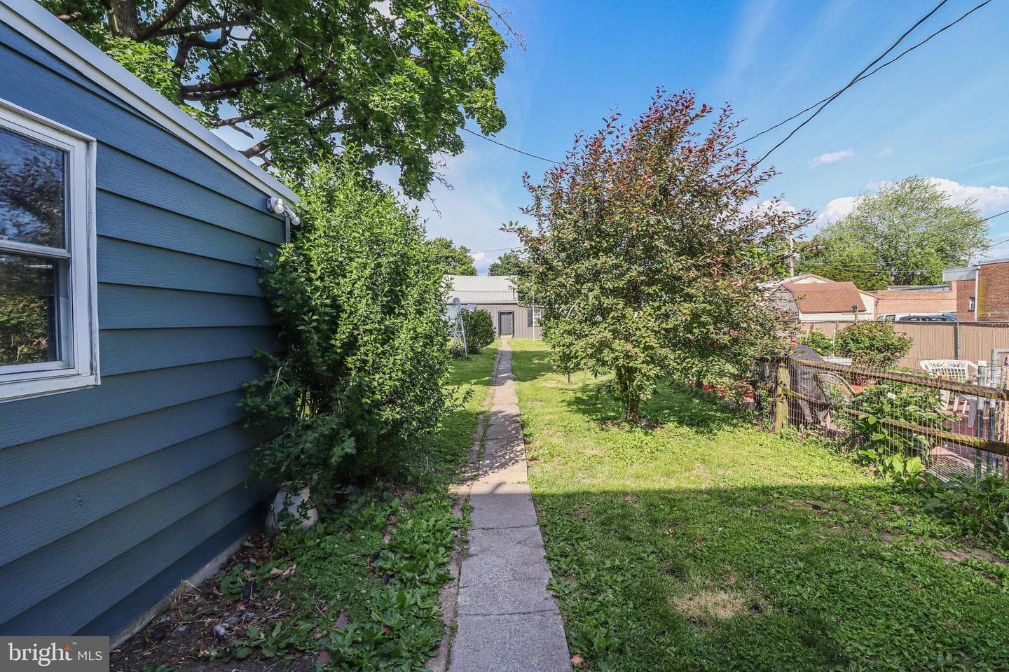 8 Carlisle Street photo 14