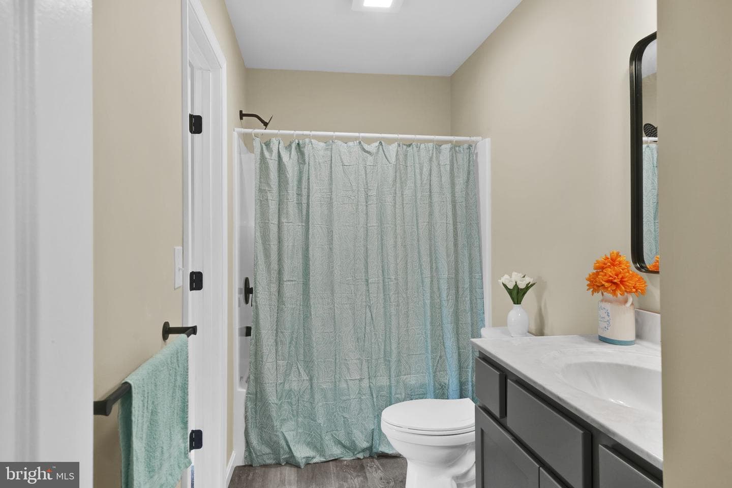 123 Homestead Drive photo 16