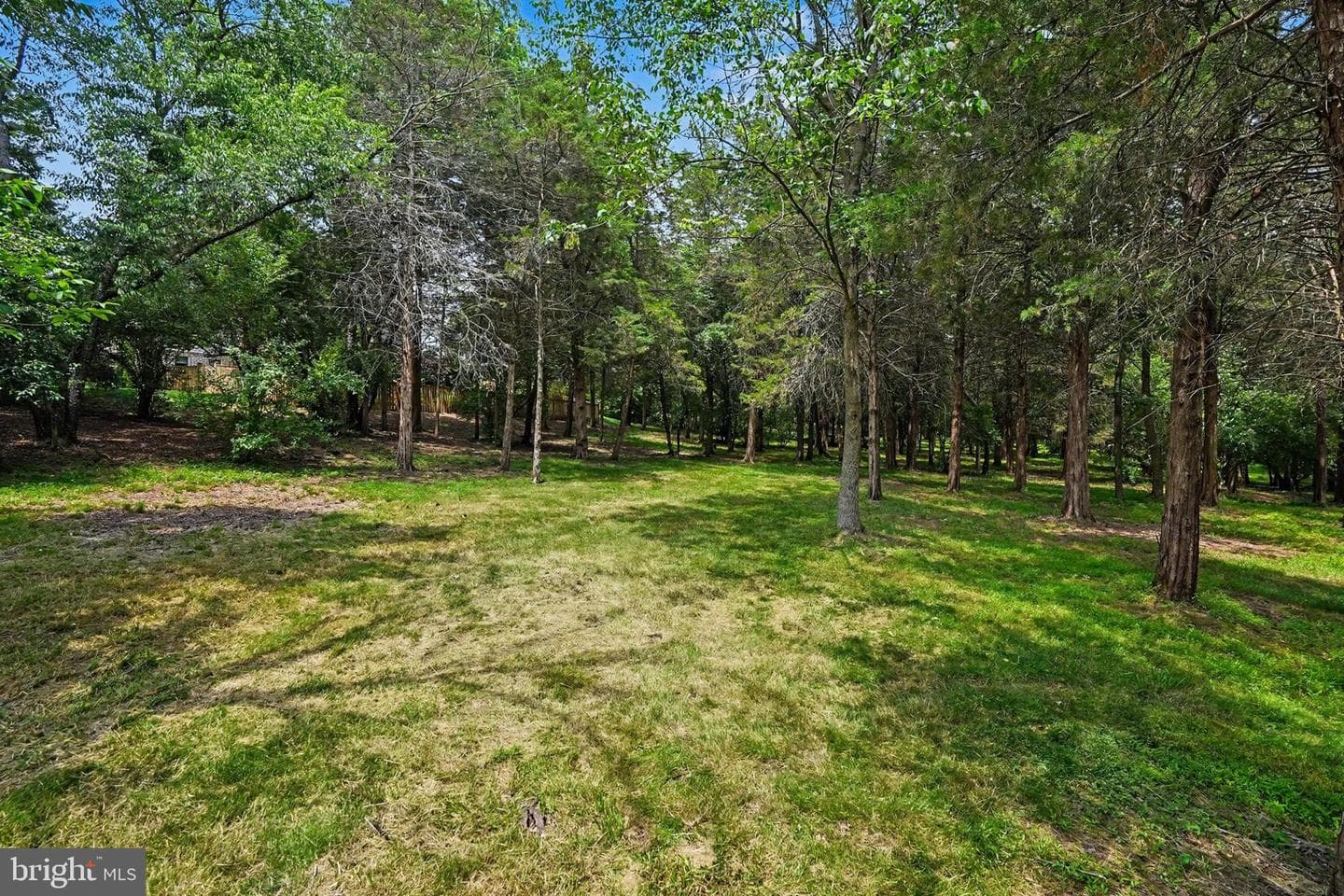 75 Palace Drive photo 32