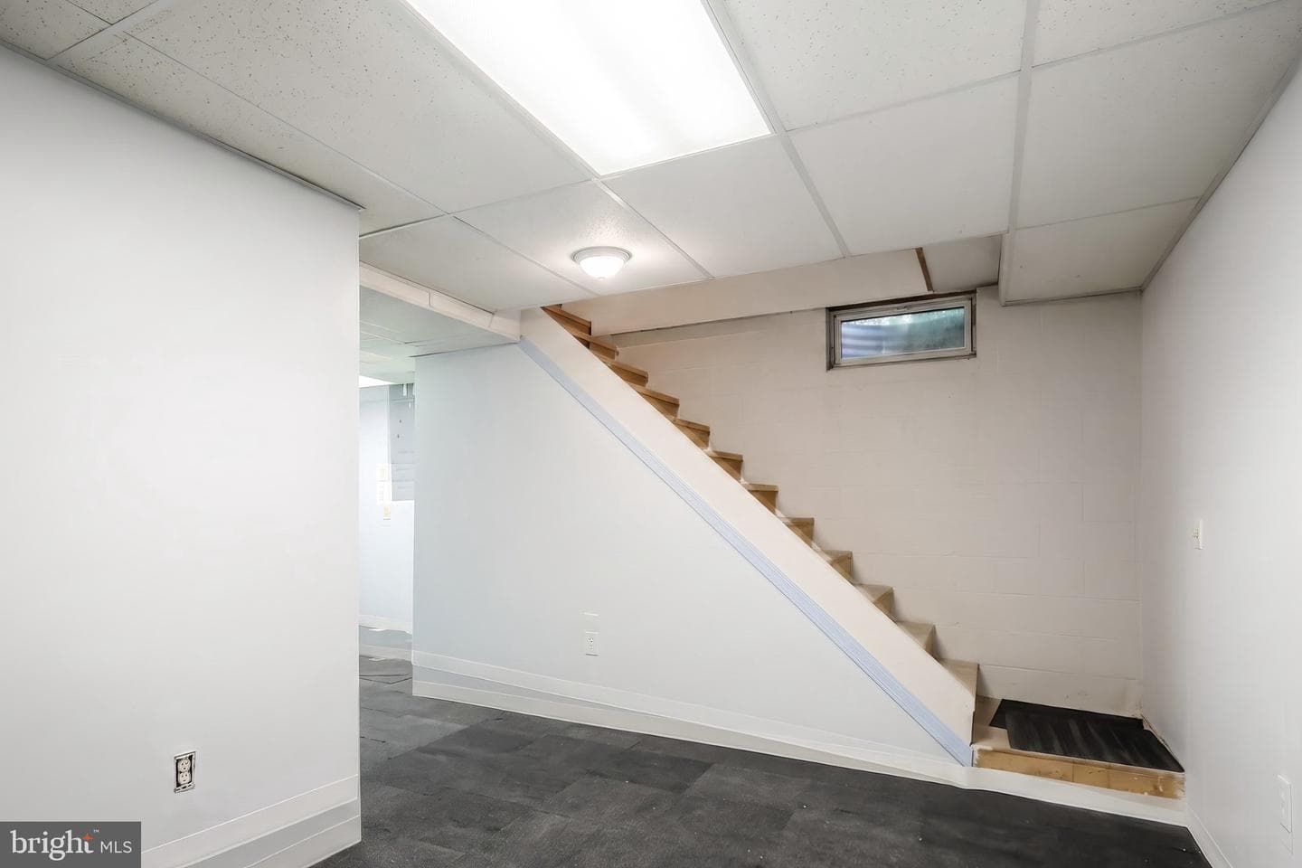 112 Billerbeck Street photo 25