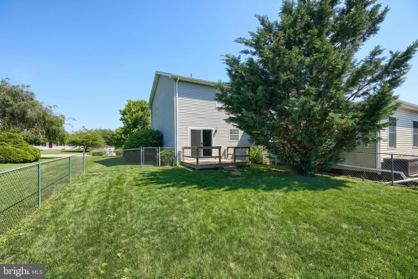 112 Billerbeck Street photo 6