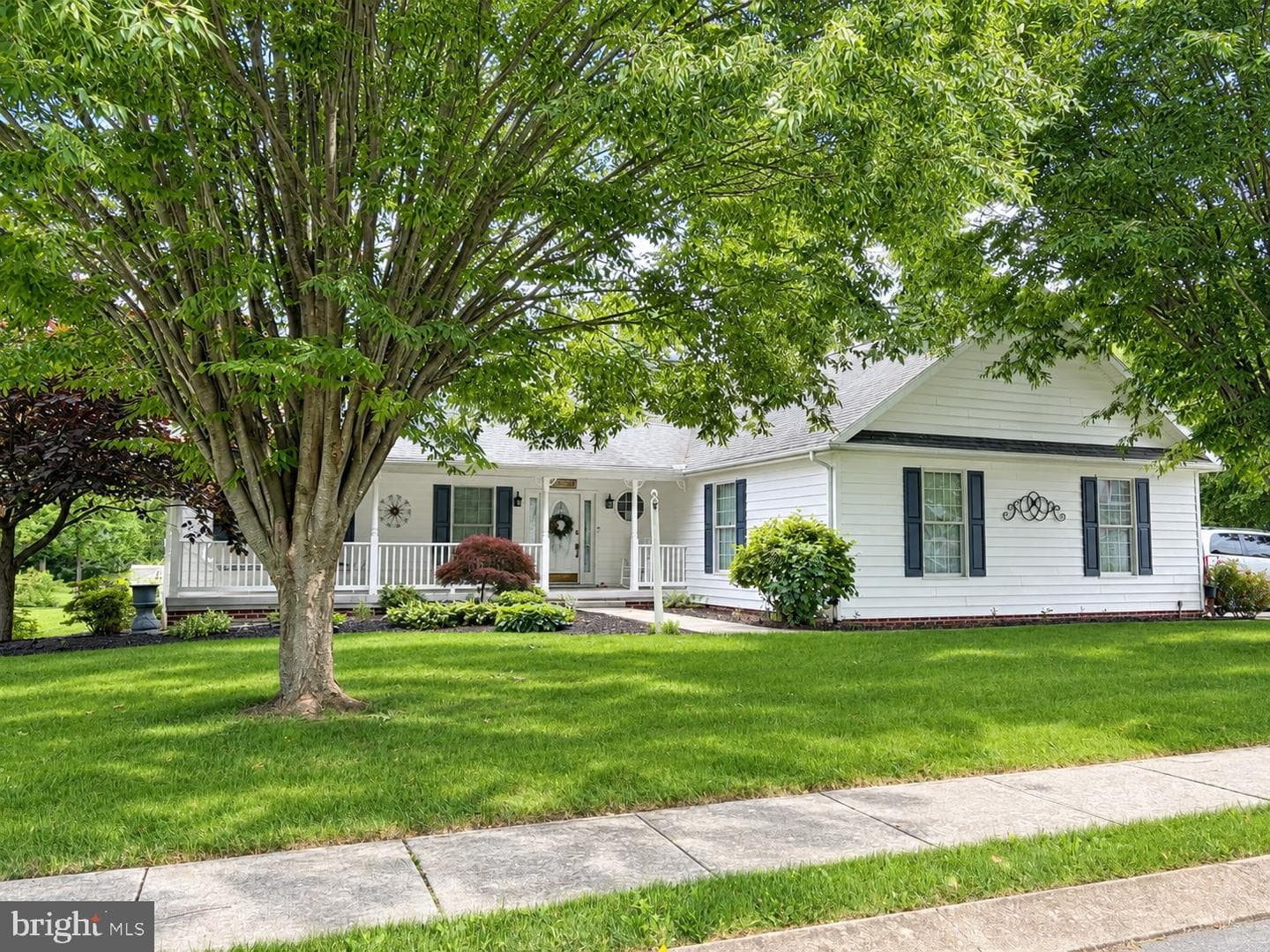 46 Clover Drive photo 1