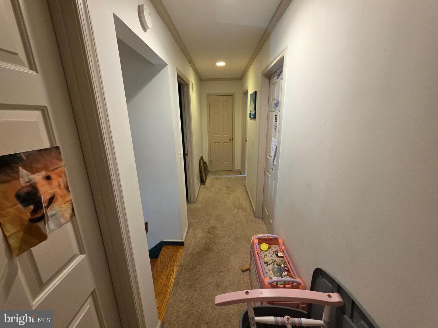 11 Longstreet Drive photo 48
