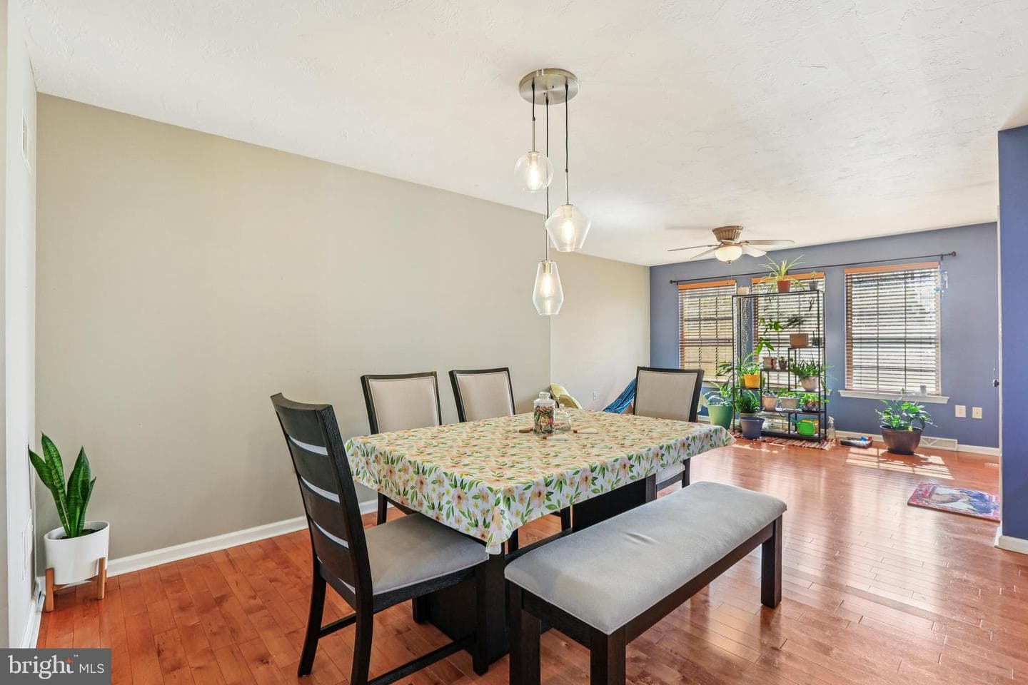 23 Sycamore Court photo 11