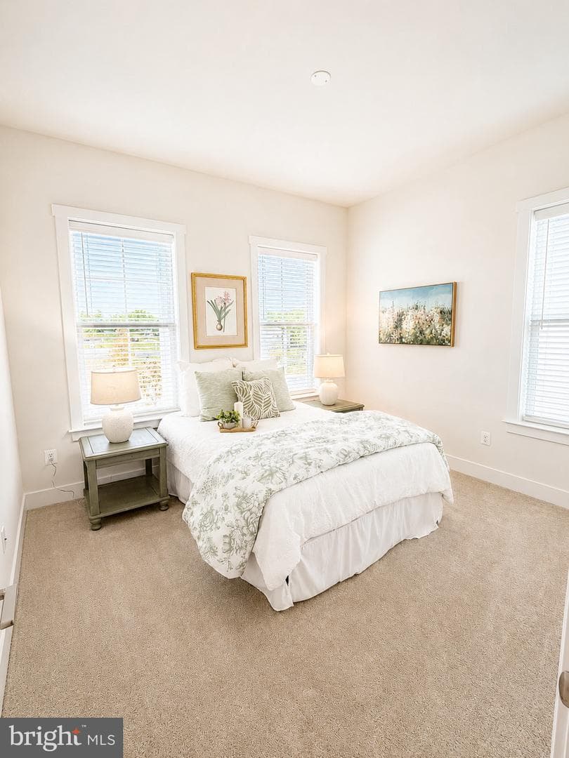8 North Bailey Court #14 photo 8