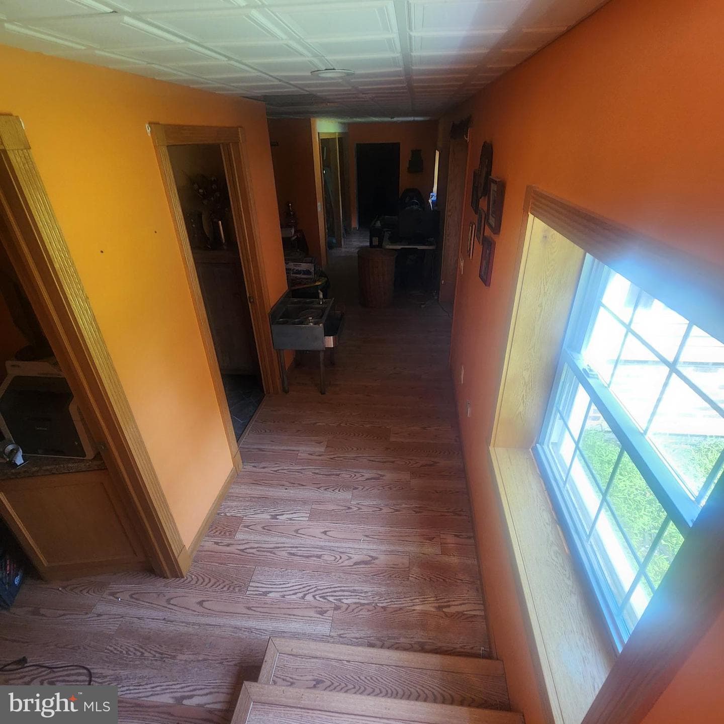 225 Rupp Road photo 46