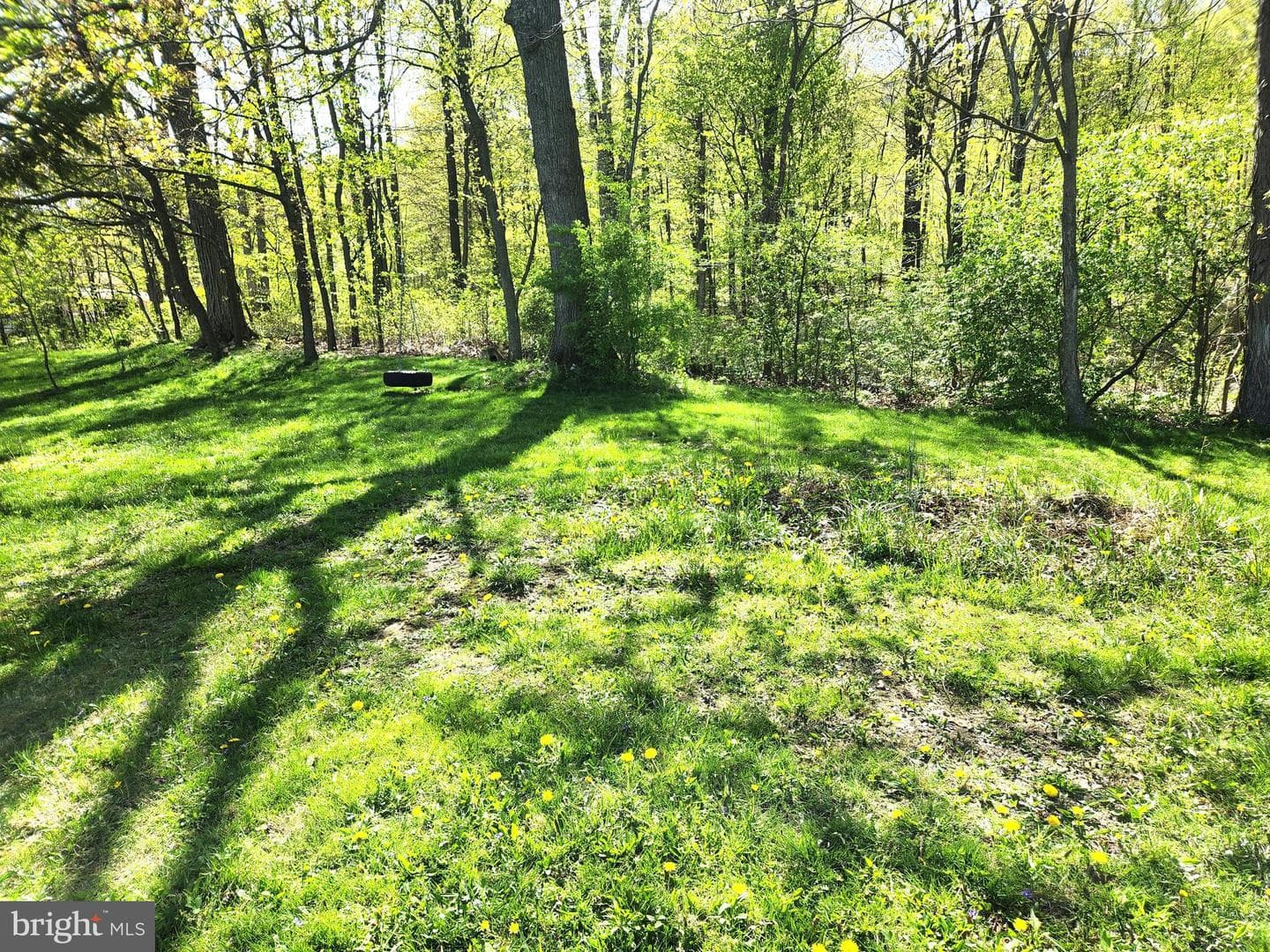 2995 Raystown Road photo 40