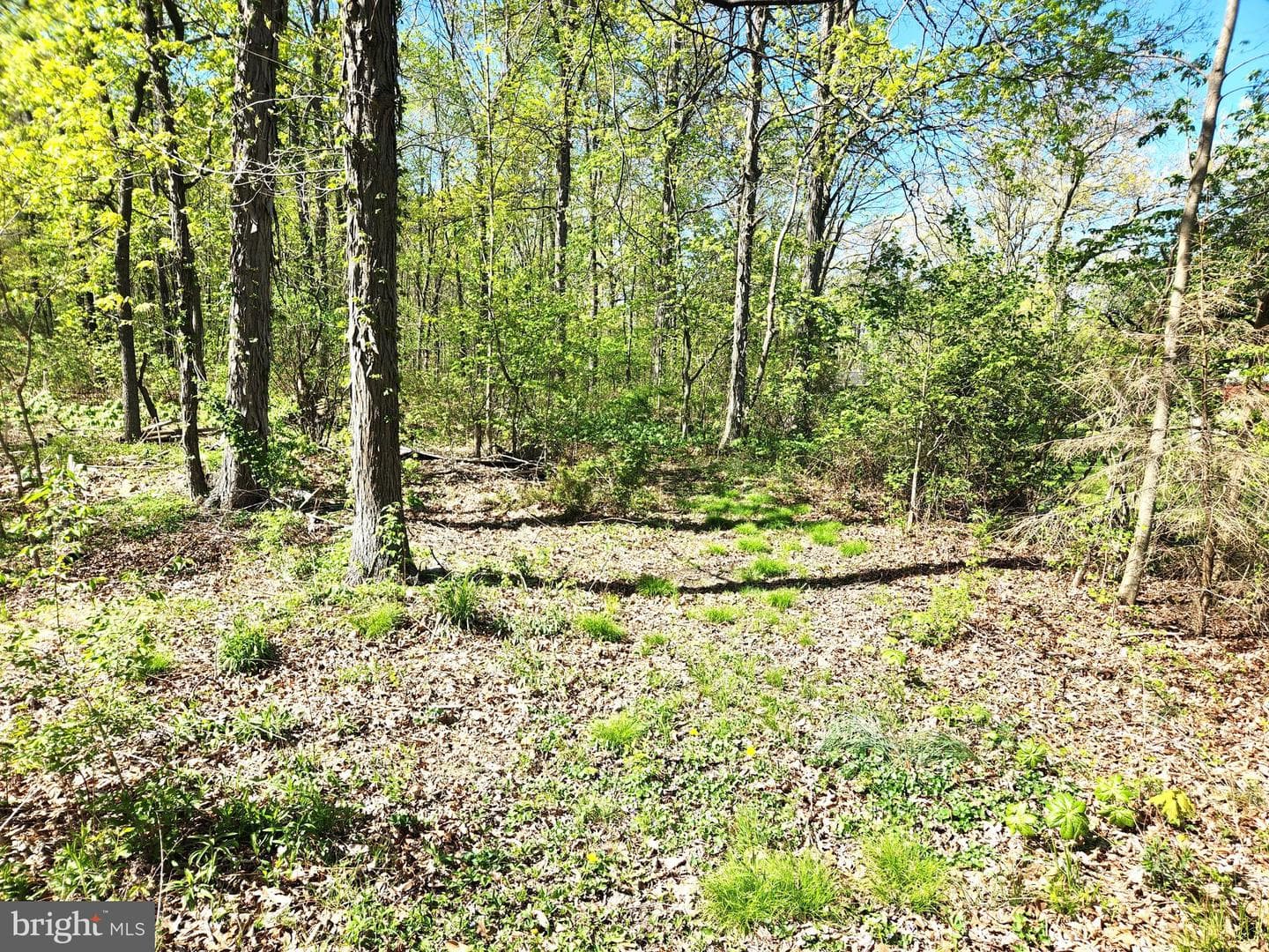 2995 Raystown Road photo 42
