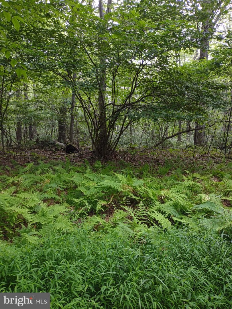 318 Walter Hollow Road photo 30