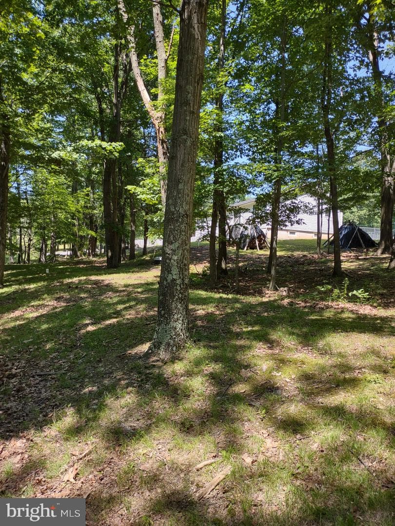 318 Walter Hollow Road photo 33
