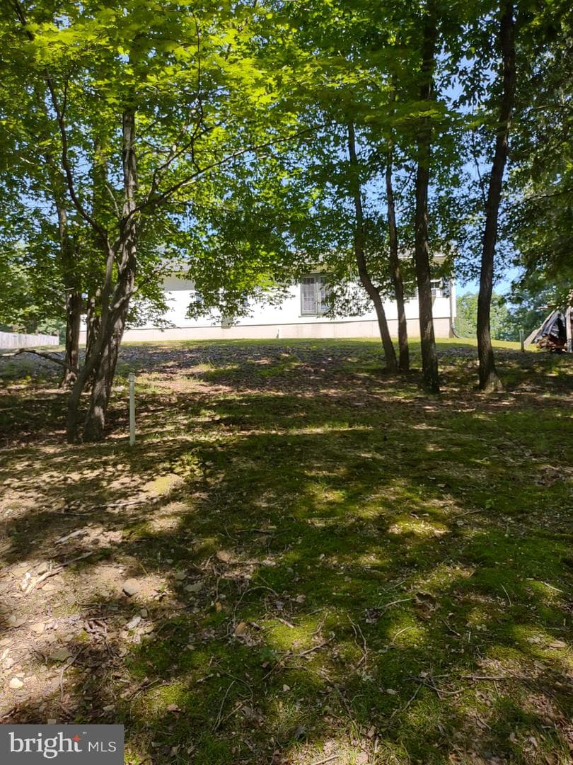 318 Walter Hollow Road photo 35