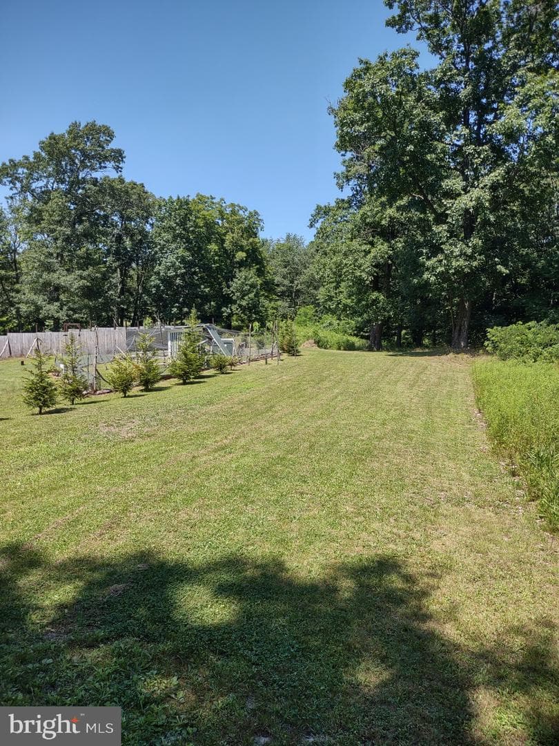 318 Walter Hollow Road photo 37