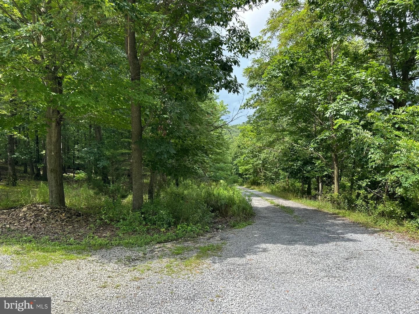 318 Walter Hollow Road photo 39