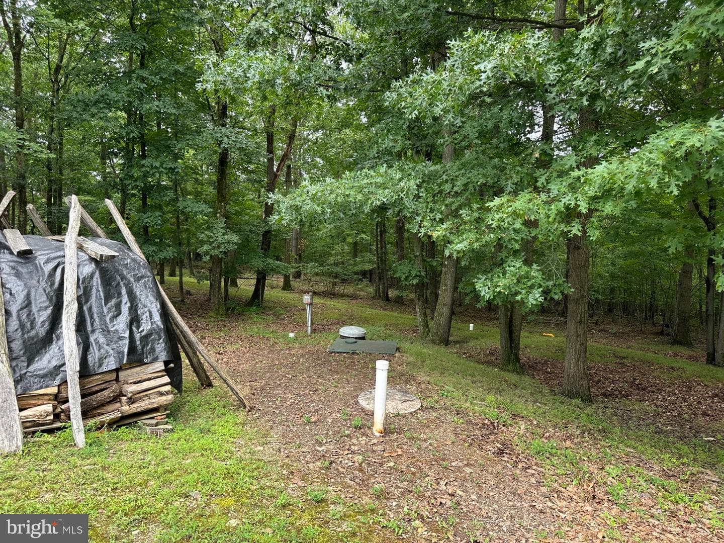 318 Walter Hollow Road photo 40