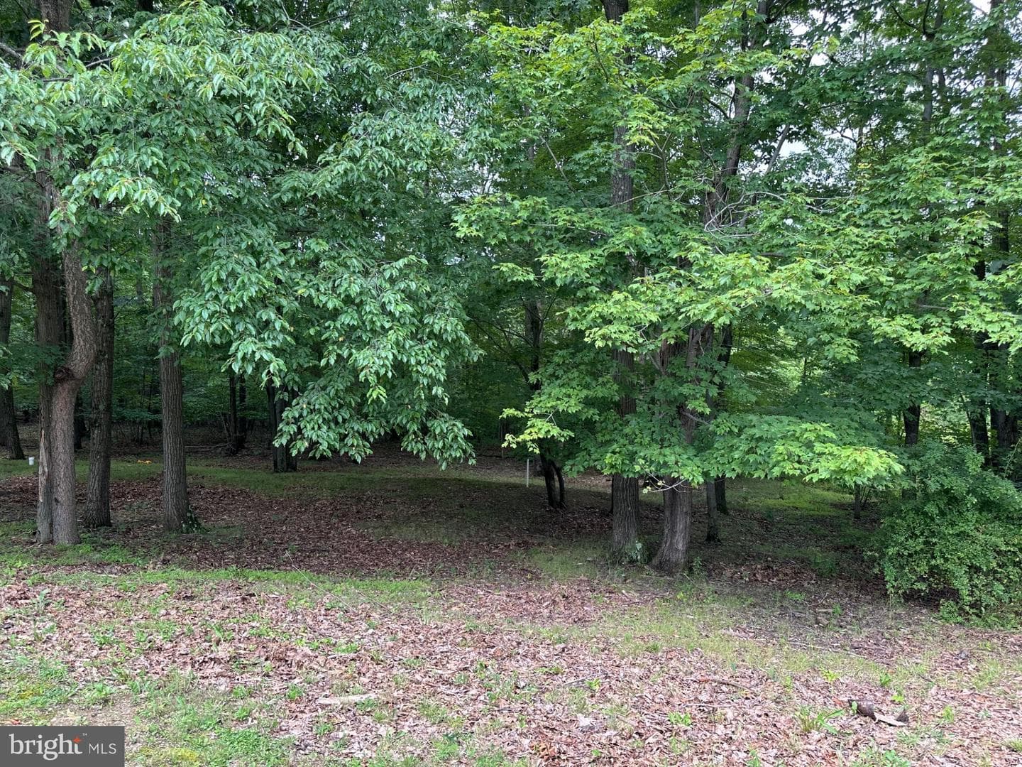 318 Walter Hollow Road photo 41
