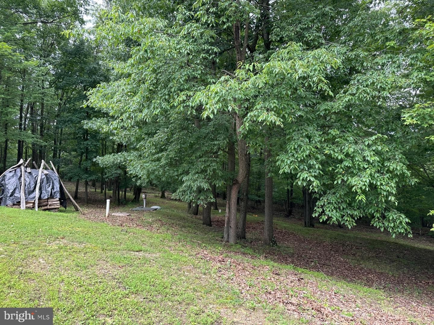 318 Walter Hollow Road photo 42