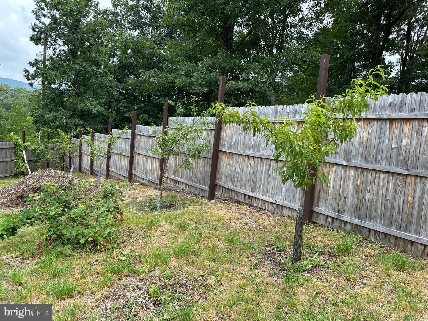 318 Walter Hollow Road photo 43
