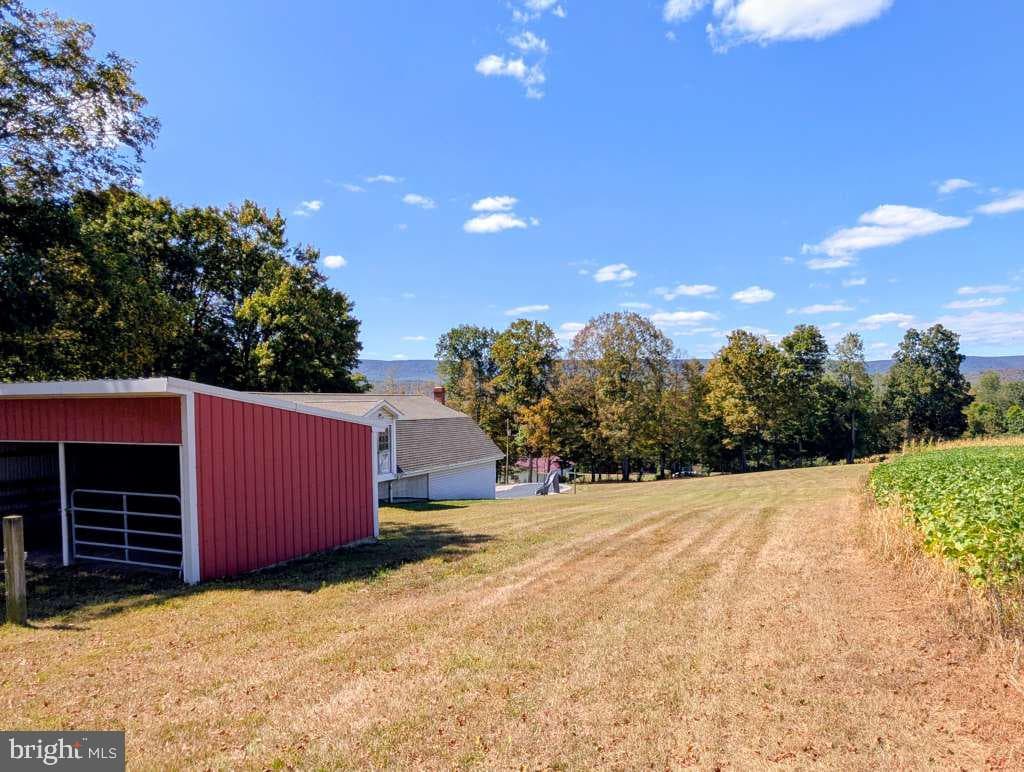 2203 Hinson Road photo 64