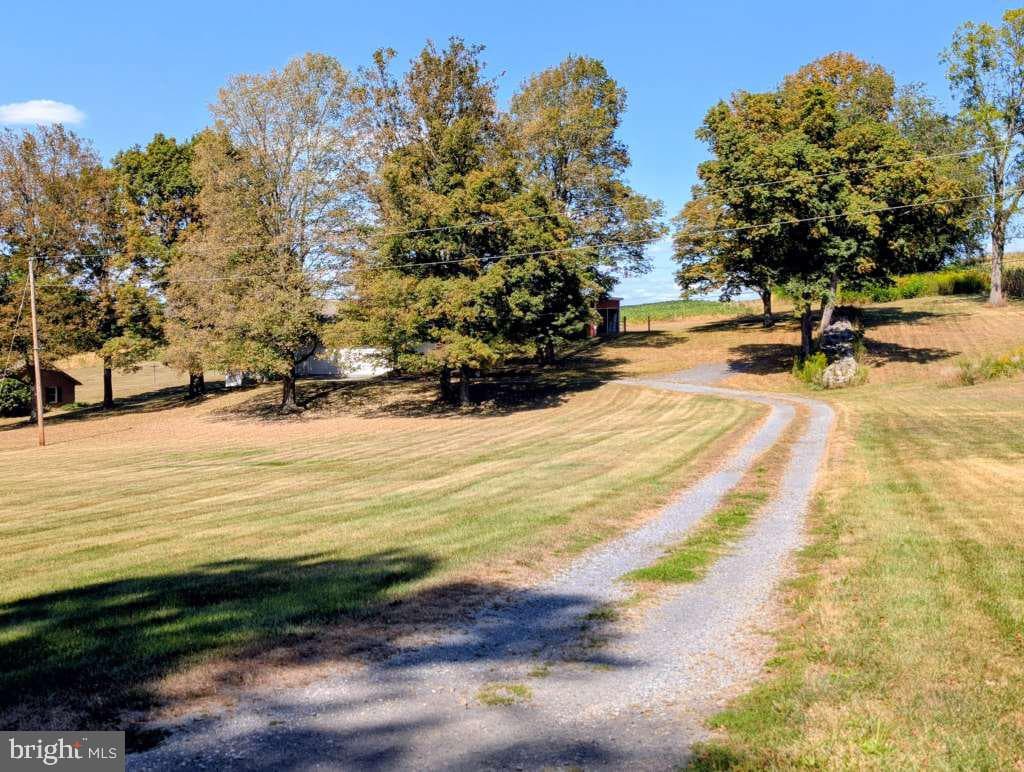 2203 Hinson Road photo 92