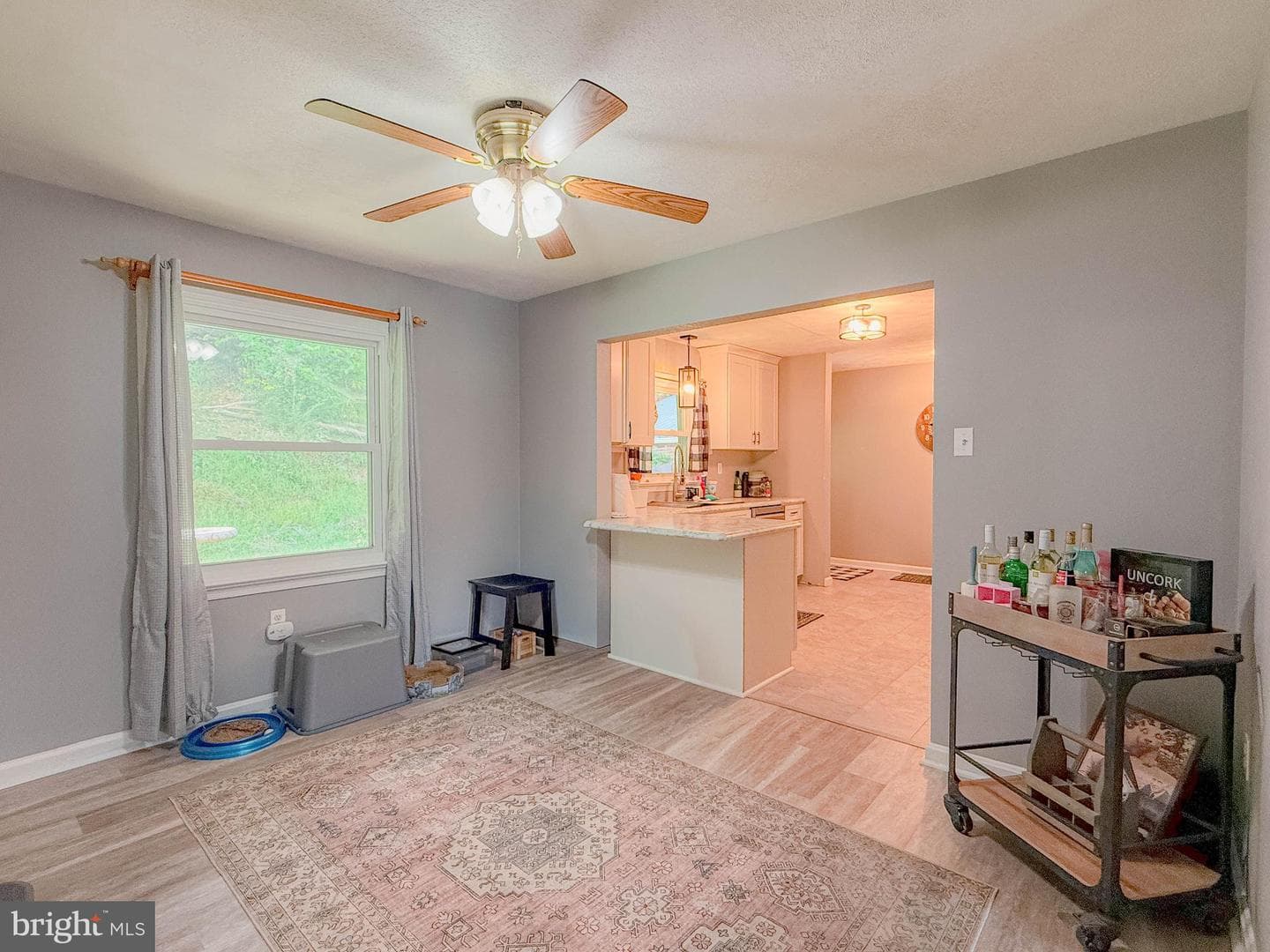 680 Barclay Drive photo 11