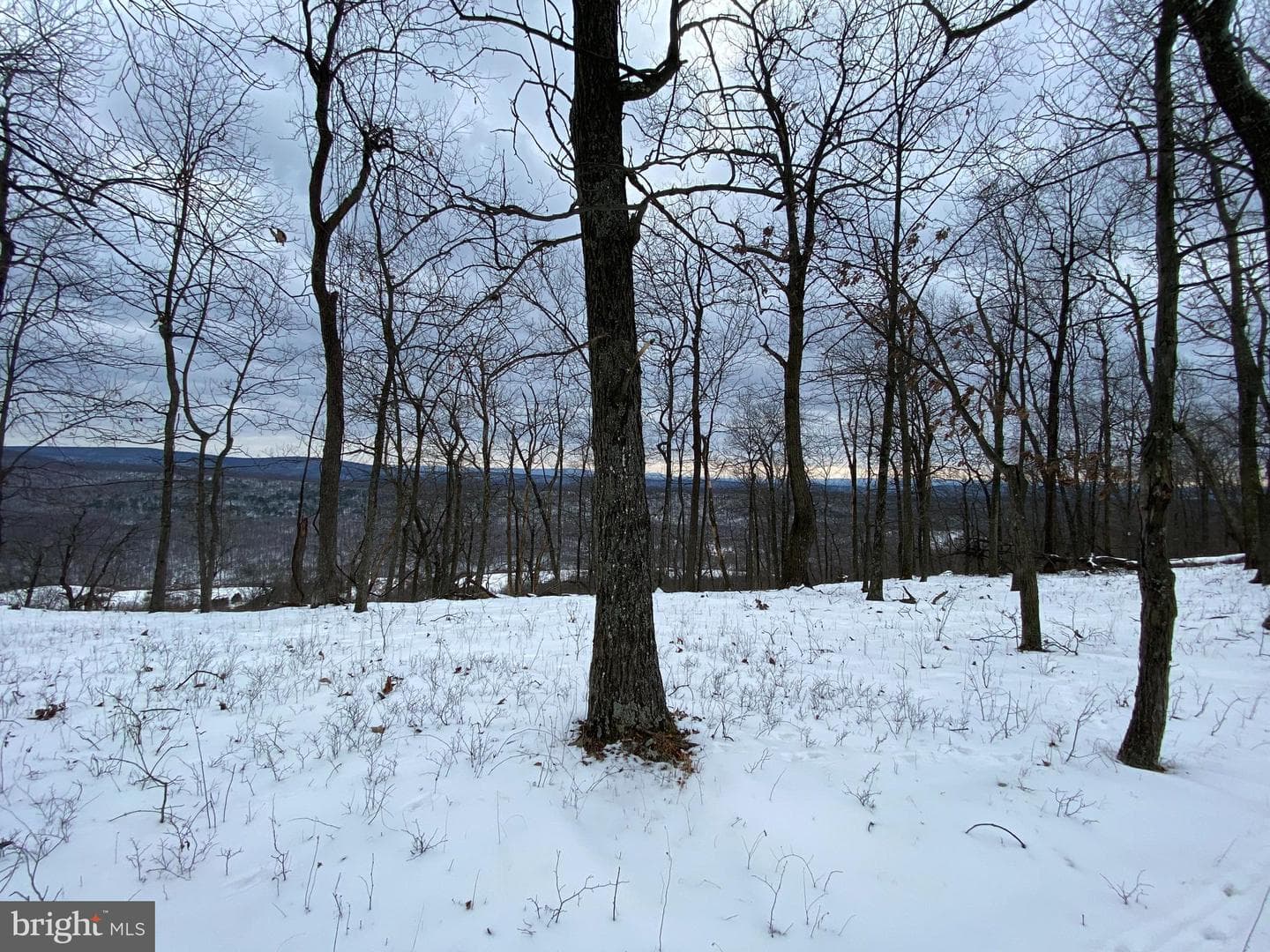 1790 Monroe Mountain Road photo 3